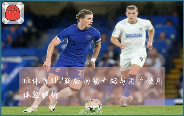 mk体育APP新版功能介绍与用户使用体验解析