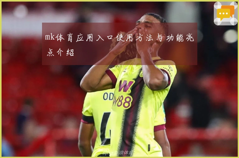 mk体育应用入口使用方法与功能亮点介绍