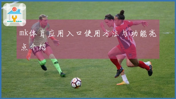 mk体育应用入口使用方法与功能亮点介绍